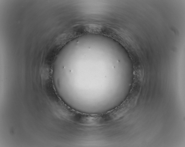 X0000111880323200907231540