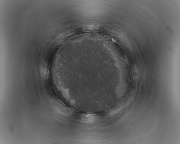 X0000111880324200907231540