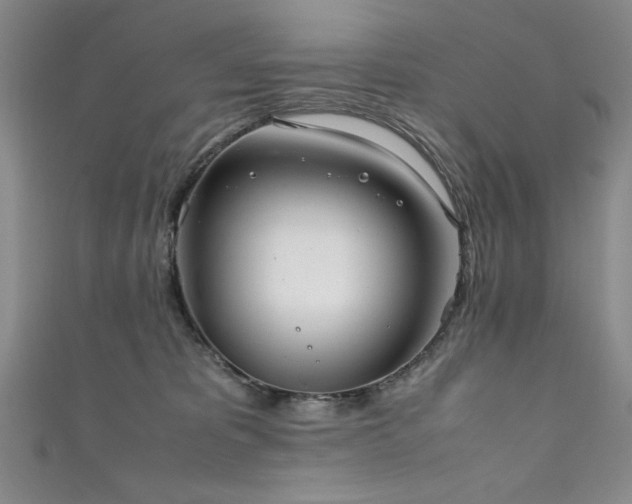 X0000111880325200907231540