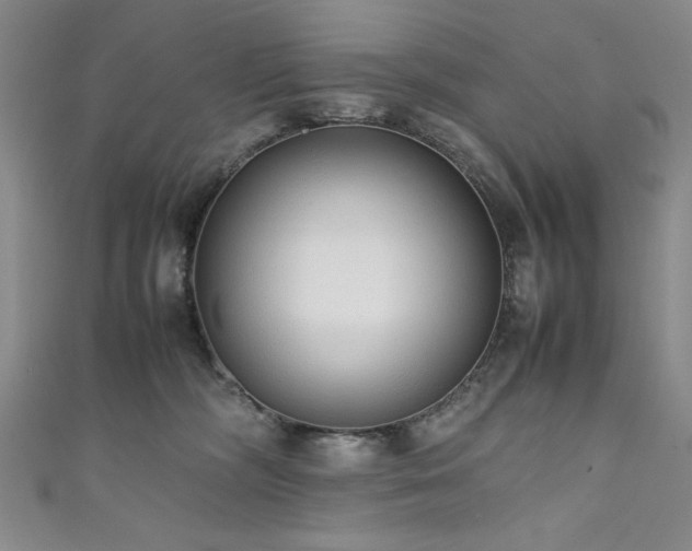 X0000111880326200907231540