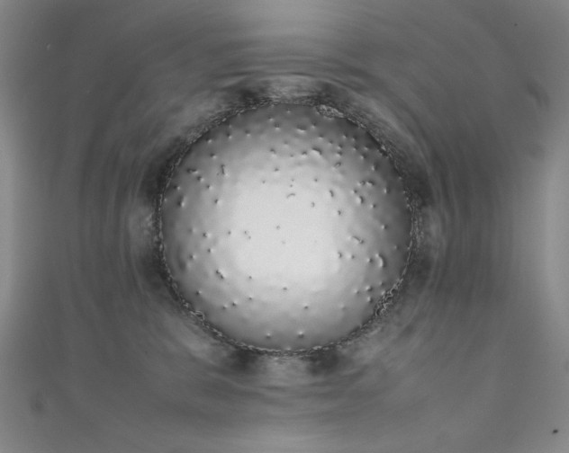 X0000111880327200907231540