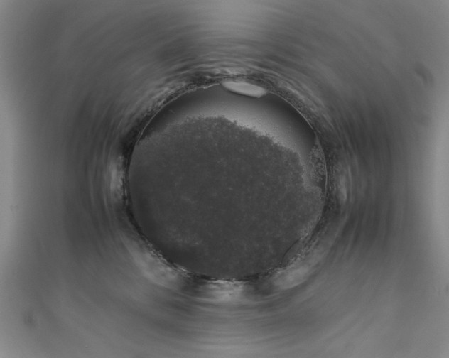 X0000111880328200907231540