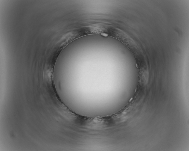 X0000111880329200907231540