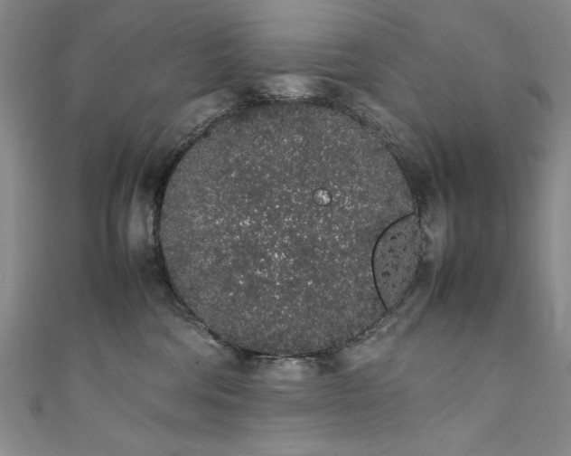 X0000111880330200907231540