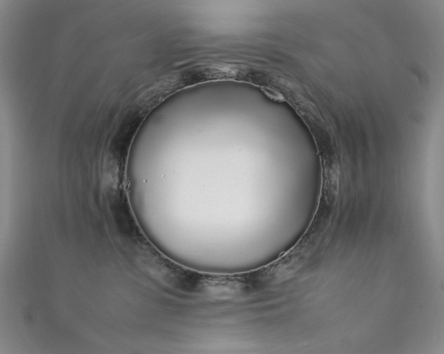 X0000111880331200907231540