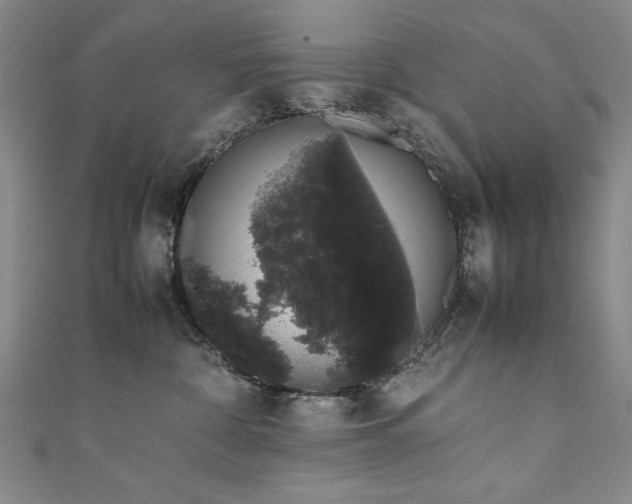 X0000111880332200907231540
