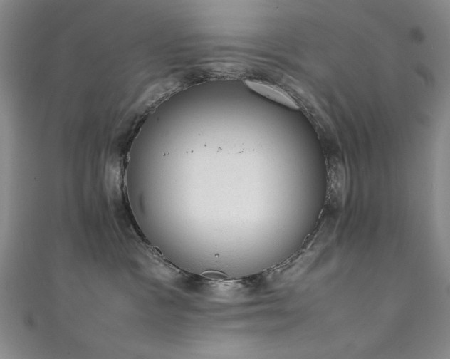 X0000111880333200907231540