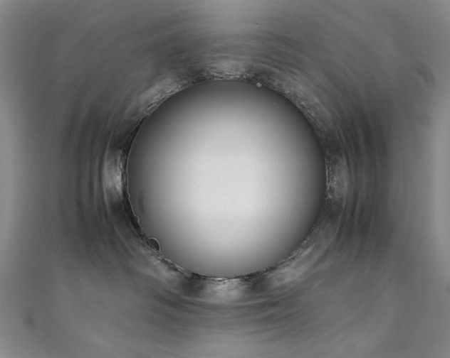 X0000111880334200907231540