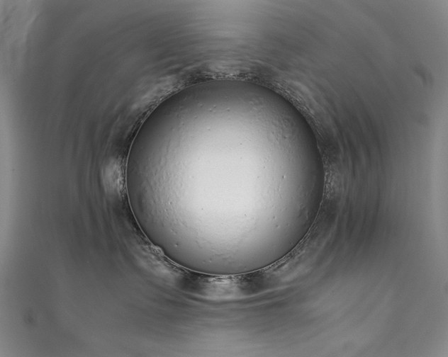 X0000111880335200907231540