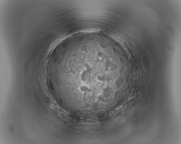 X0000111880337200907231539