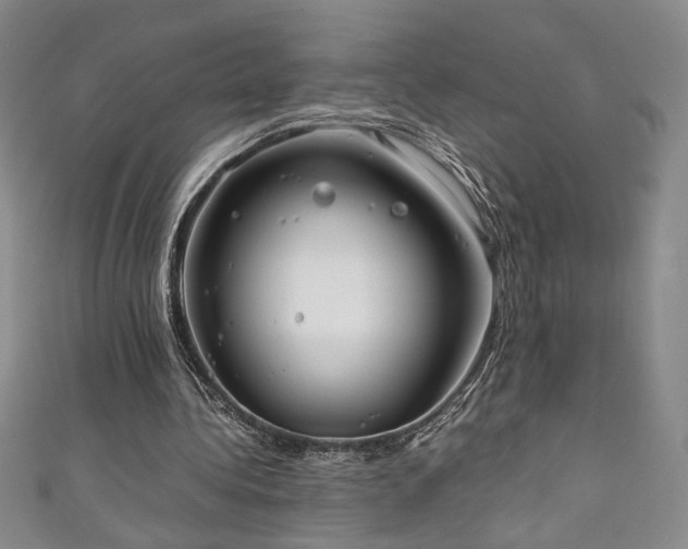 X0000111880340200907231539