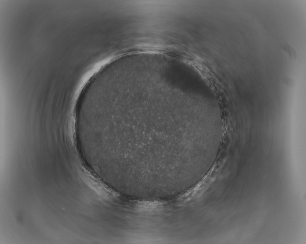 X0000111880342200907231539