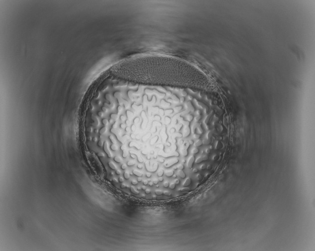 X0000111880344200907231540
