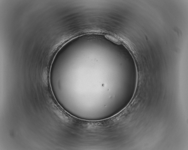 X0000111880345200907231540