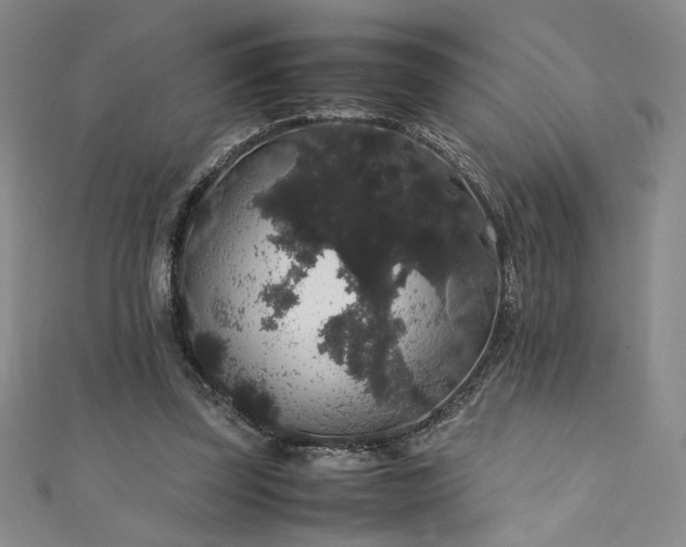 X0000111880347200907231540