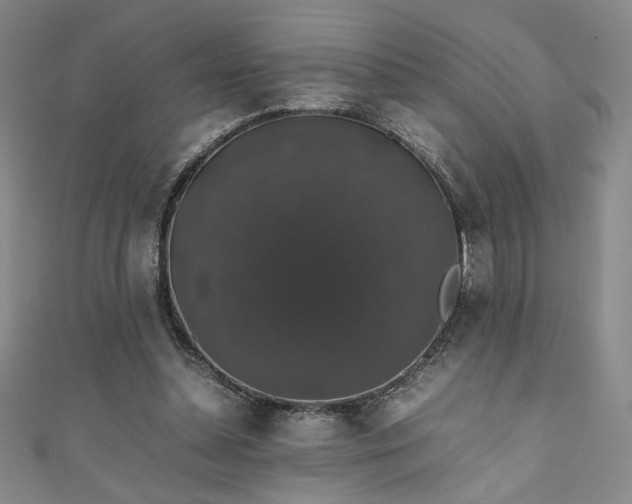 X0000111880348200907231540
