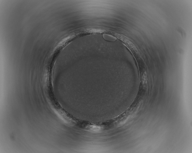 X0000111880352200907231540