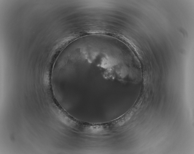 X0000111880353200907231540