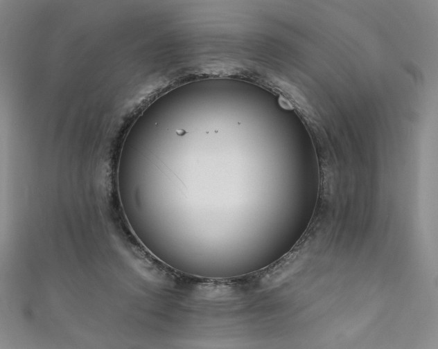X0000111880354200907231540