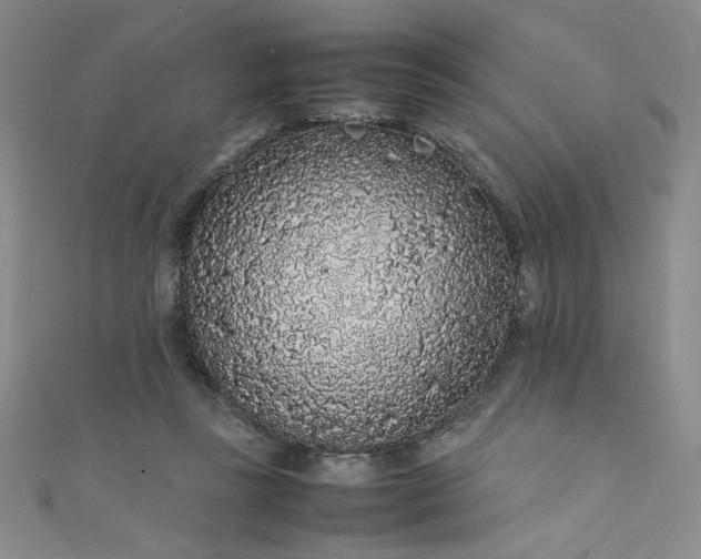 X0000111880355200907231540