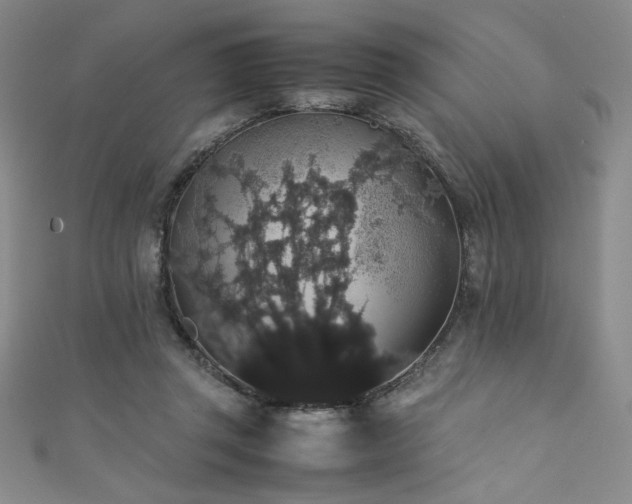 X0000111880357200907231540