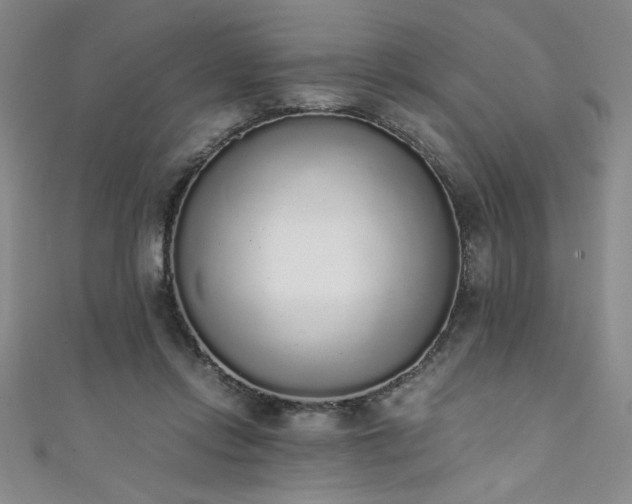 X0000111880358200907231540