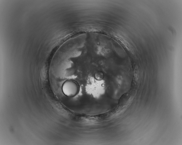 X0000111880359200907231540