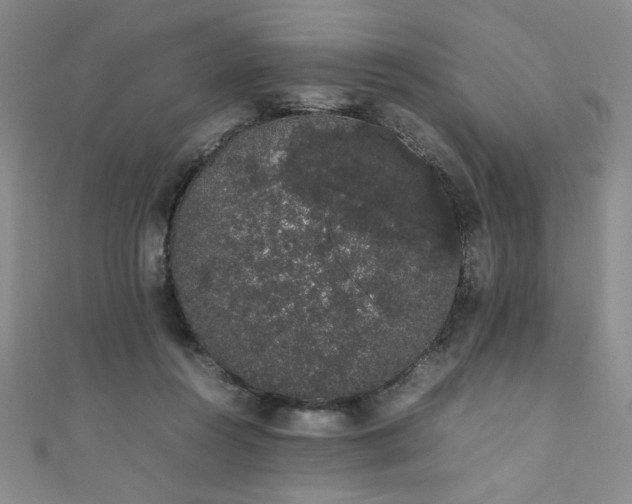 X0000111880360200907231540