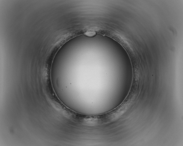 X0000111880362200907231540