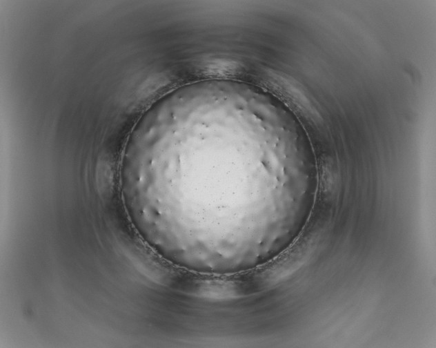 X0000111880363200907231540
