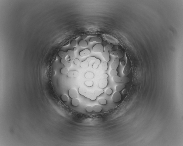 X0000111880364200907231540