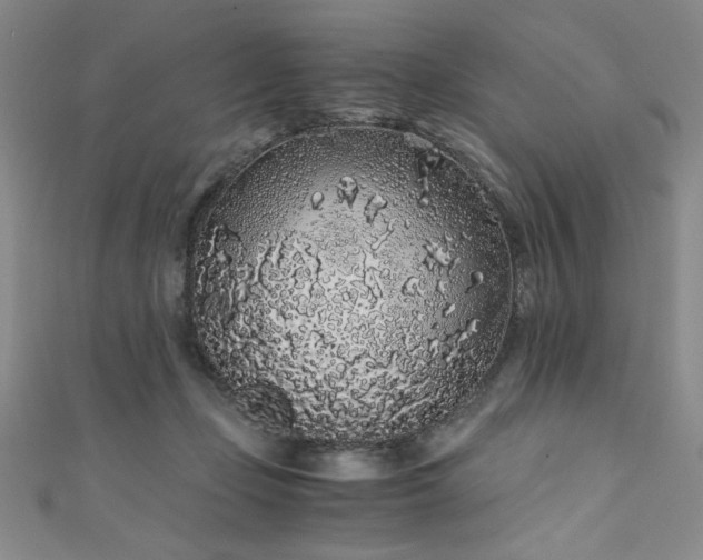 X0000111880365200907231540