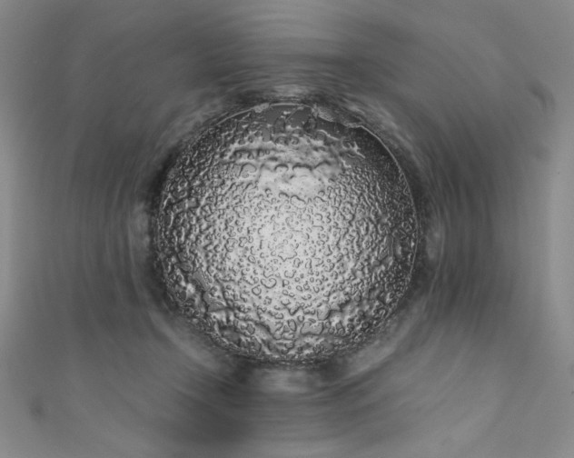 X0000111880366200907231540