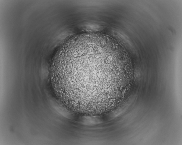 X0000111880367200907231540