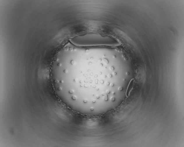 X0000111880368200907231540