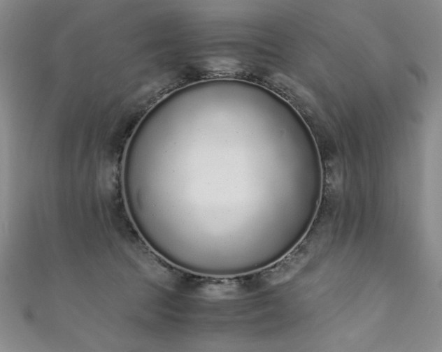 X0000111880369200907231540