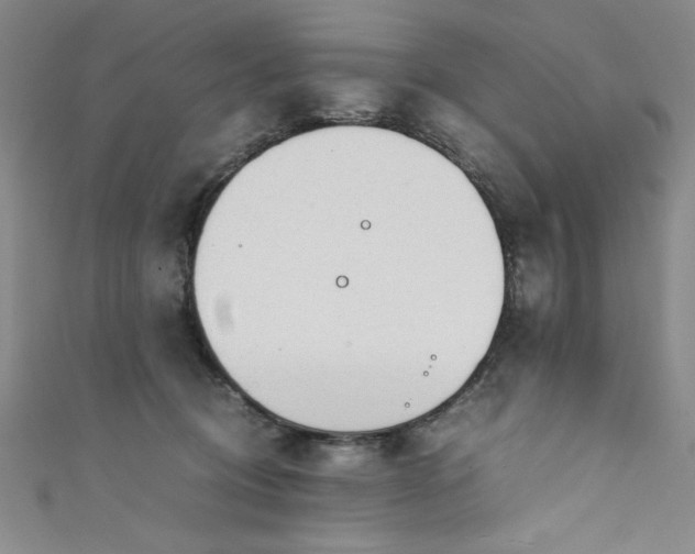 X0000111880370200907231540