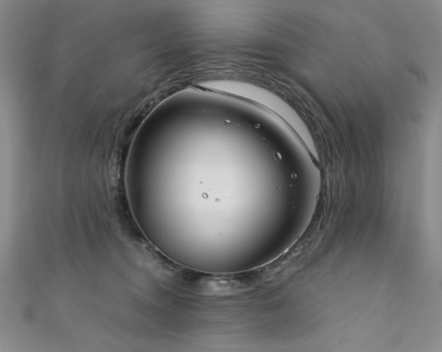 X0000111880372200907231540