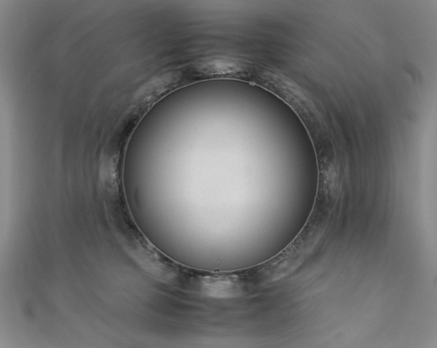 X0000111880373200907231540