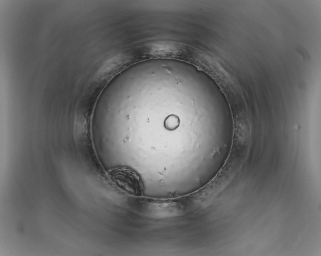 X0000111880375200907231540
