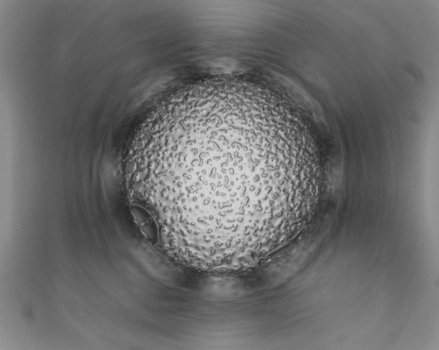X0000111880376200907231540