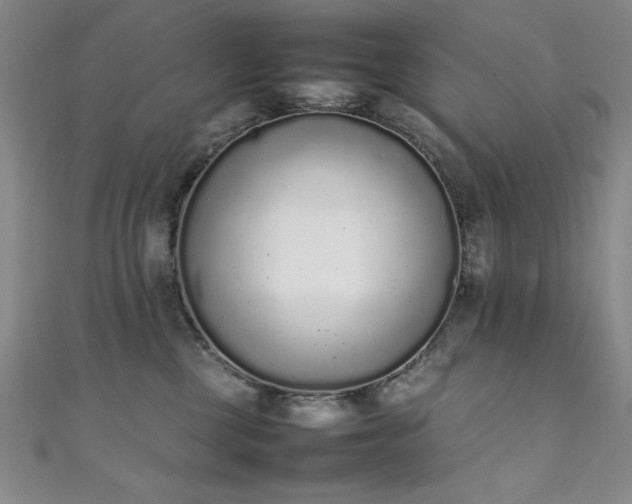 X0000111880377200907231540