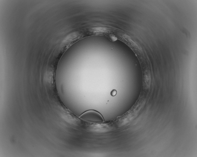 X0000111880379200907231540