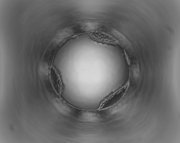 X0000111880380200907231540