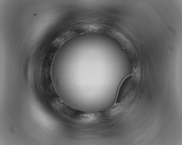 X0000111880381200907231540