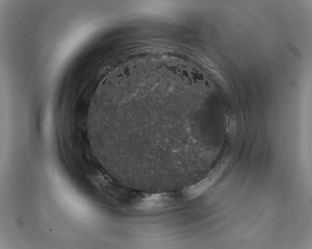 X0000111880382200907231540