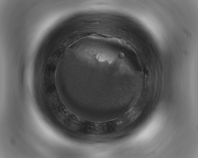X0000111880383200907231540