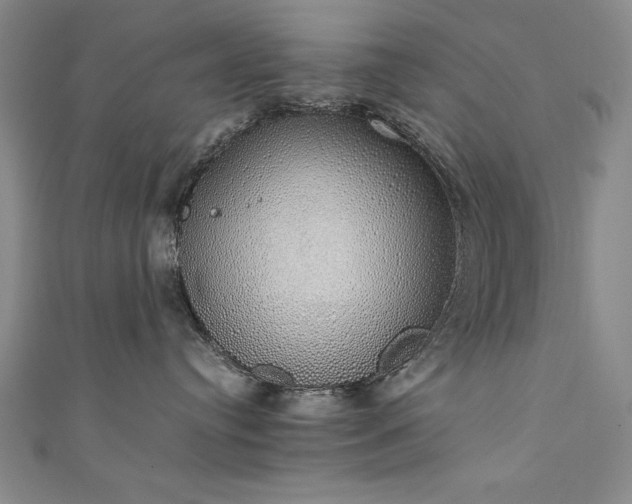 X0000111880384200907231540