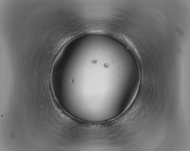 X0000111880385200907231539
