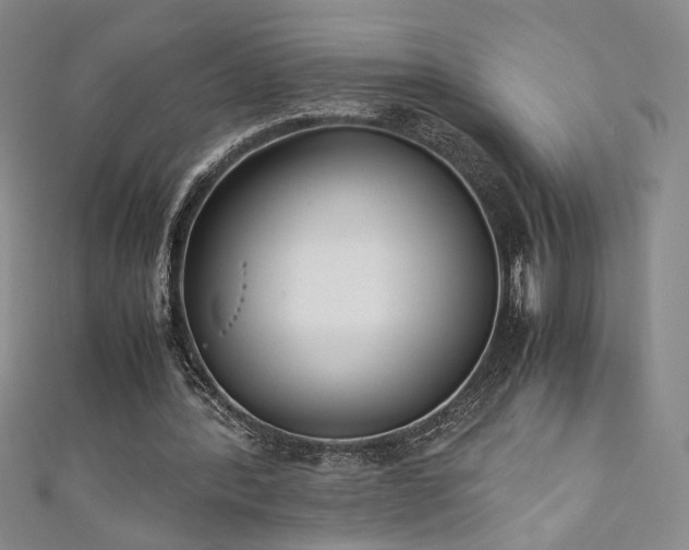 X0000111880388200907231539